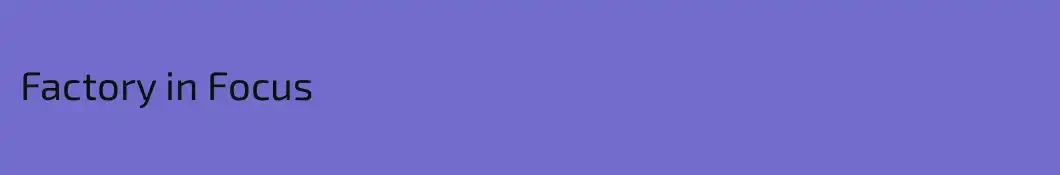 Factory in Focus